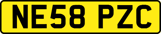 NE58PZC