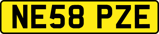 NE58PZE