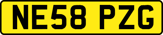 NE58PZG