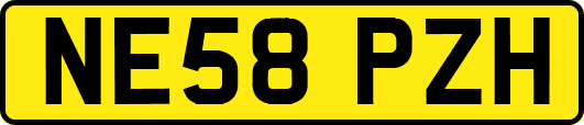 NE58PZH