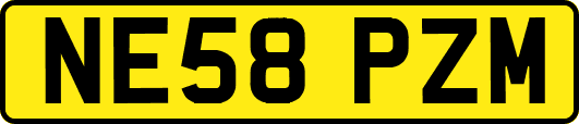 NE58PZM