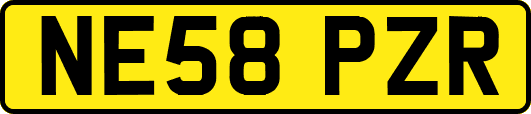 NE58PZR