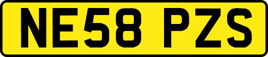 NE58PZS