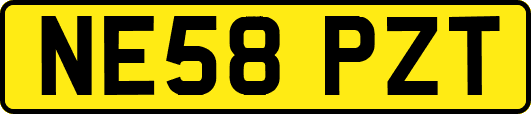 NE58PZT