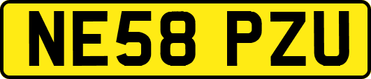 NE58PZU