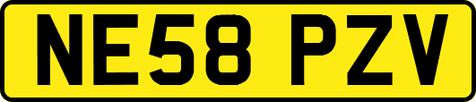NE58PZV