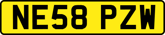 NE58PZW