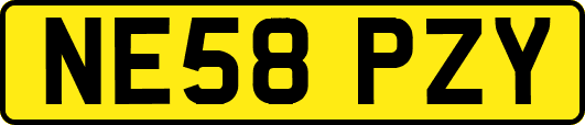 NE58PZY