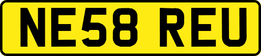 NE58REU