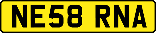 NE58RNA