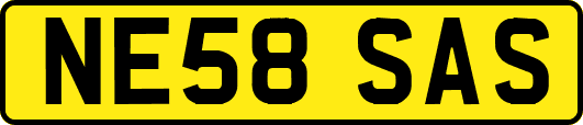 NE58SAS