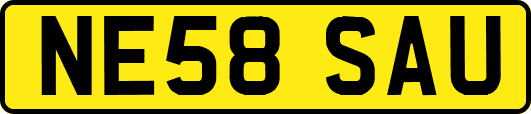 NE58SAU