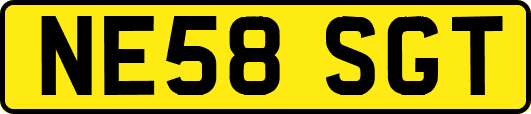 NE58SGT