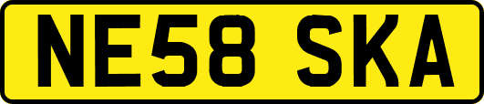 NE58SKA