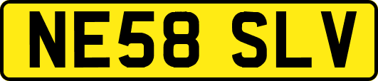 NE58SLV