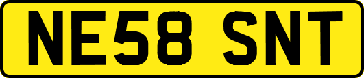 NE58SNT