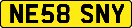 NE58SNY