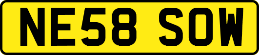 NE58SOW