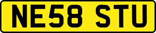 NE58STU