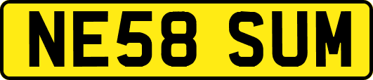 NE58SUM