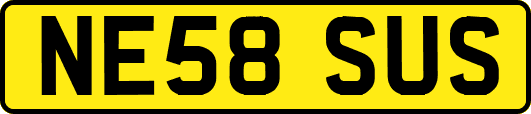 NE58SUS