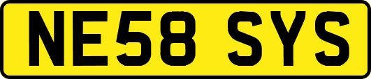 NE58SYS