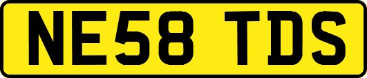 NE58TDS