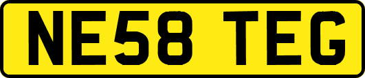 NE58TEG
