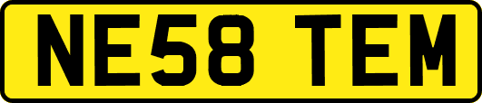 NE58TEM
