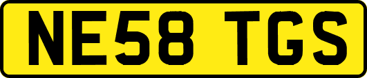 NE58TGS