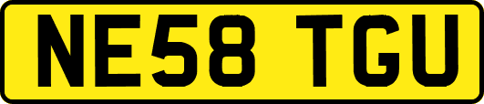 NE58TGU