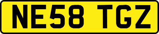 NE58TGZ