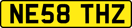 NE58THZ