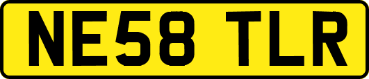 NE58TLR