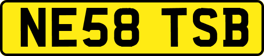 NE58TSB