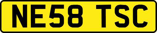 NE58TSC