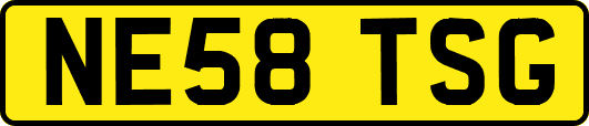 NE58TSG