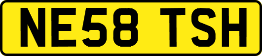 NE58TSH