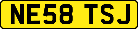 NE58TSJ
