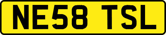 NE58TSL