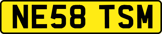 NE58TSM