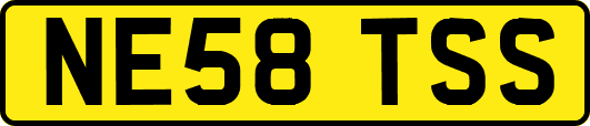 NE58TSS