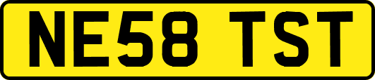 NE58TST