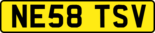 NE58TSV