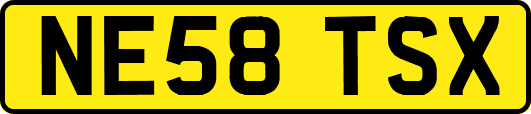 NE58TSX