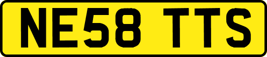 NE58TTS