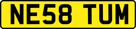 NE58TUM