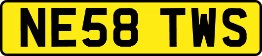 NE58TWS