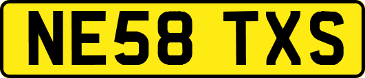 NE58TXS
