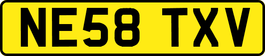NE58TXV